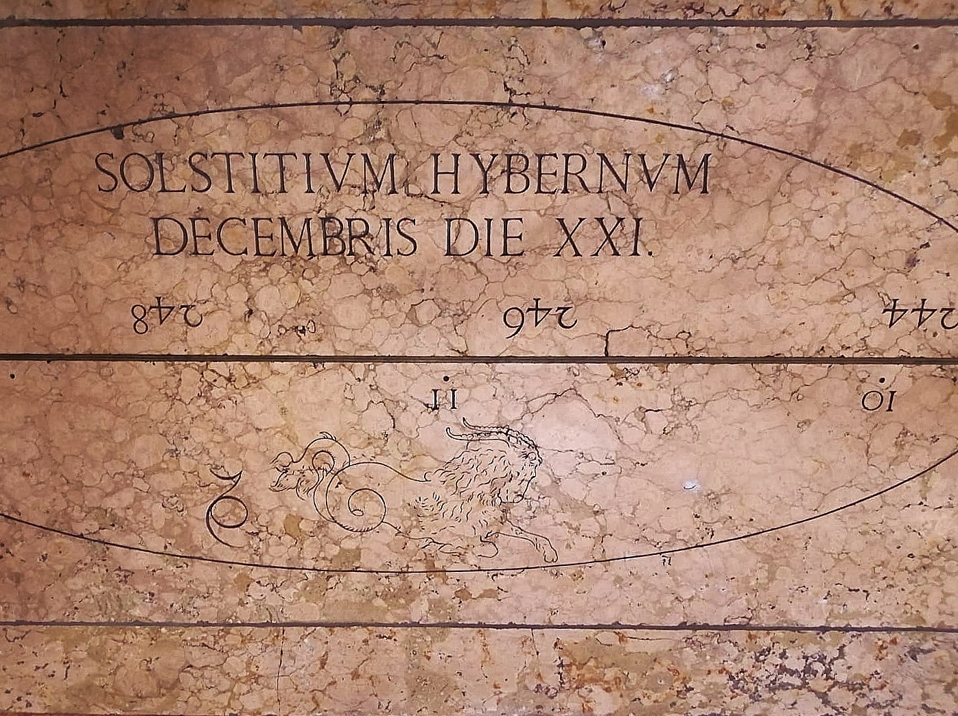 merdiana di bologna (2)