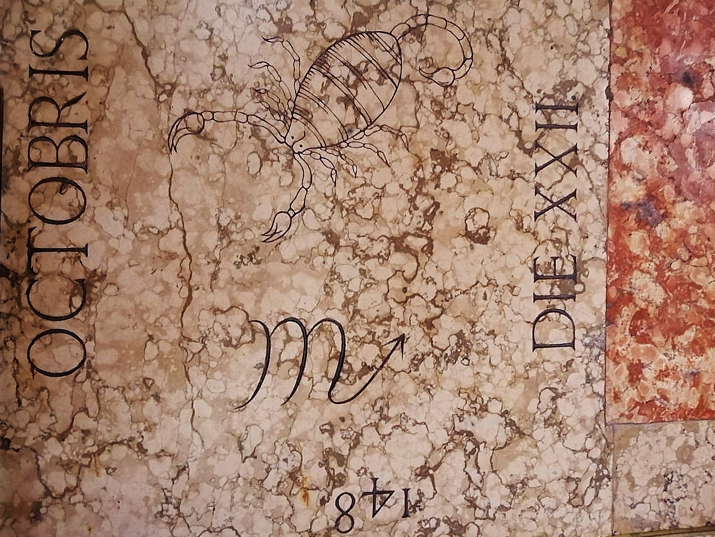 merdiana di bologna (6)