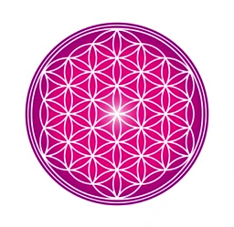 flower-life-design-image-vector-260nw-1677631471 copy